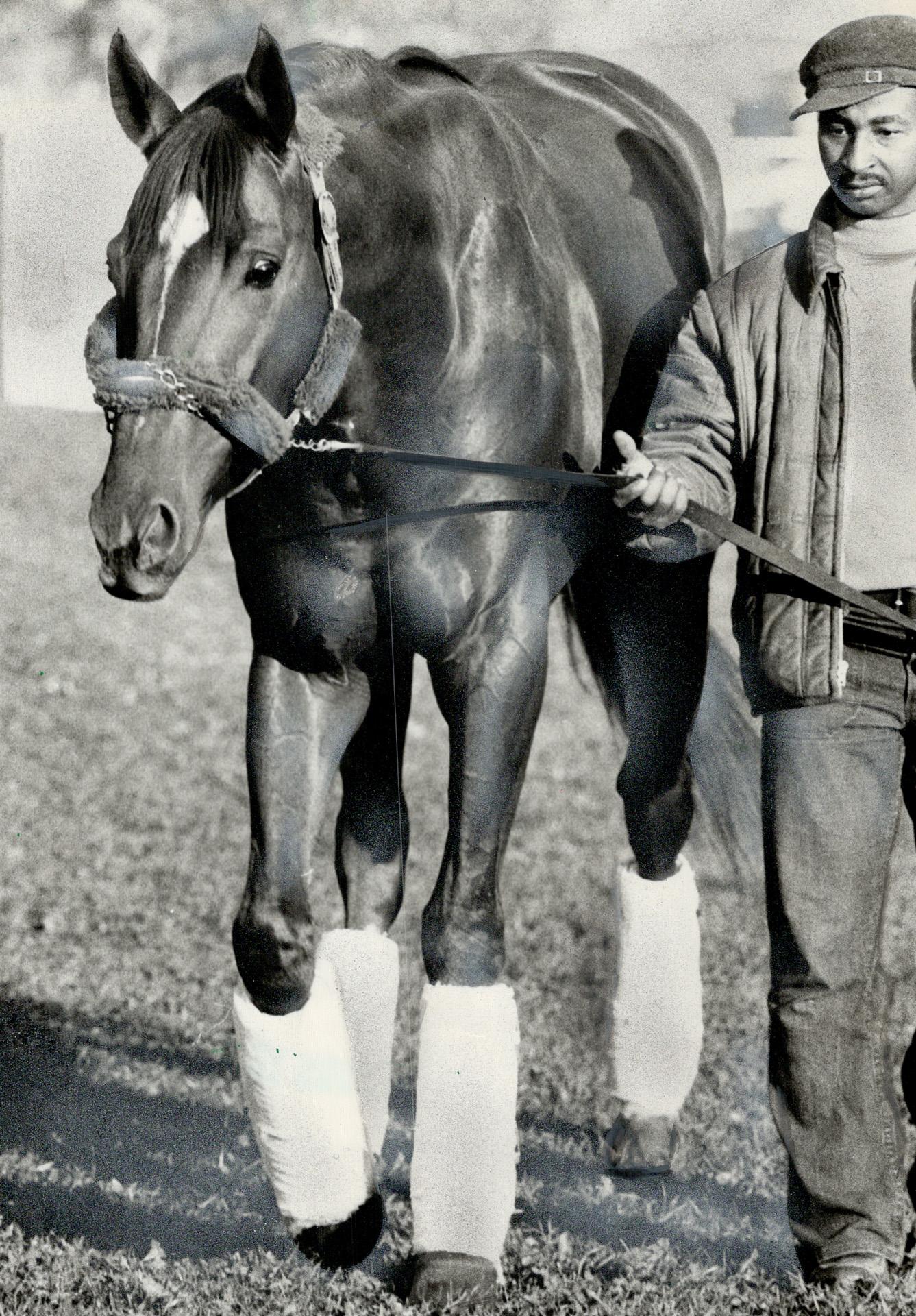 Eddie Sweet & Secretariat